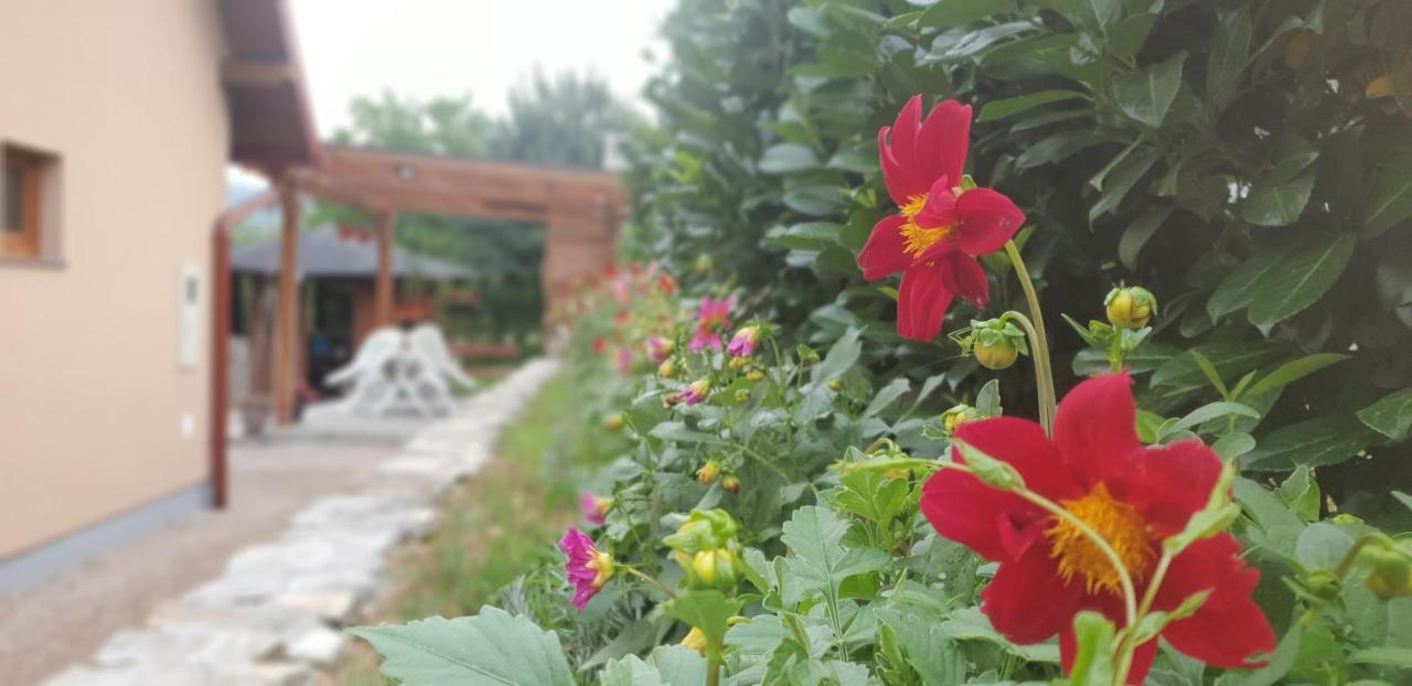 Green Garden Lohovo Bihać Esterno foto